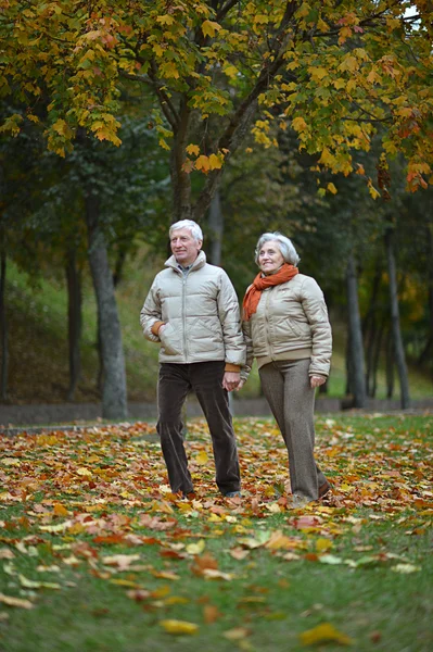 Mooi volwassen stel — Stockfoto