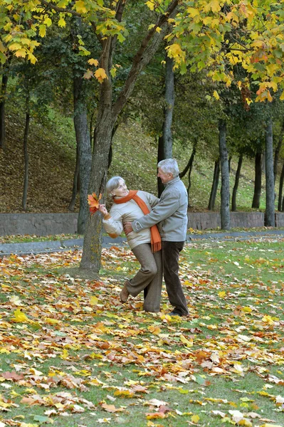 Attractive old couple — Stock Photo, Image