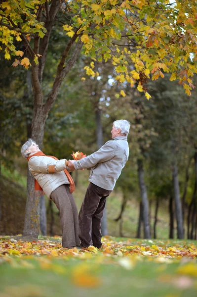 Attraktiva gamla par — Stockfoto