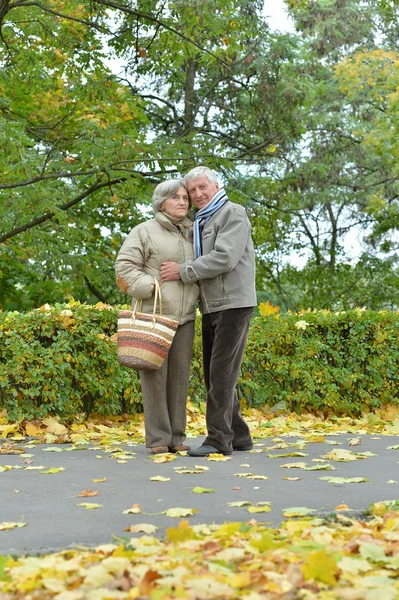 Heureux vieux couple — Photo