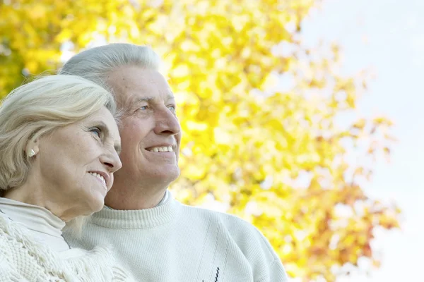 Pareja de ancianos descansando —  Fotos de Stock