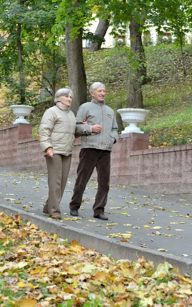 Attractive old couple — Stock Photo, Image