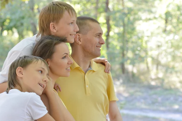 Bir yaz parkta oturan aile — Stok fotoğraf