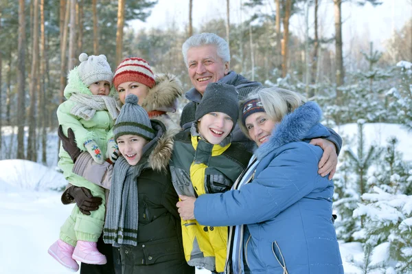 Familie im Winterpark — Stockfoto