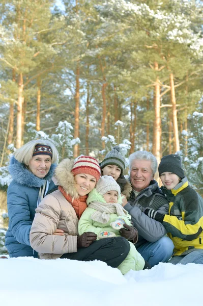 Familie im Winterpark — Stockfoto