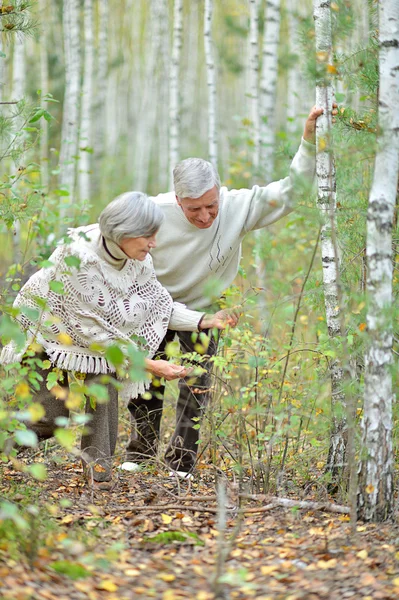 Coppia in autunno — Foto Stock