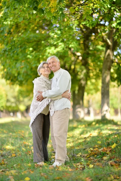 Coppia Senior nel parco autunnale — Foto Stock