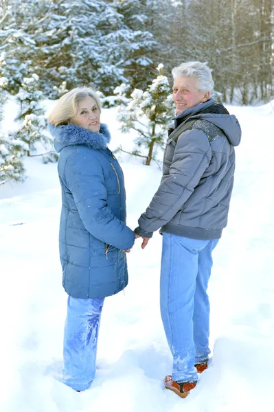冬に年配のカップル — ストック写真