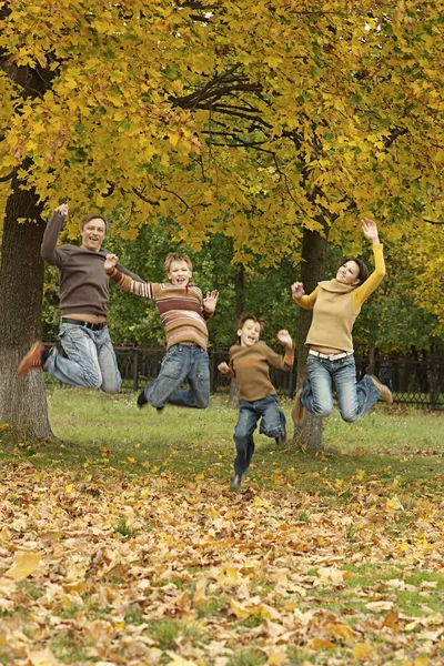 Glückliche vereinte Familie — Stockfoto