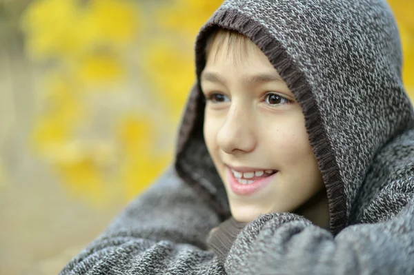 Young boy on walk — Stock Photo, Image