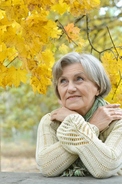 Donna in un maglione caldo — Foto Stock