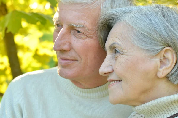 Elderly attractive woman — Stock Photo, Image