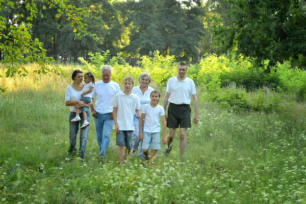 Gelukkige familie te voet — Stockfoto