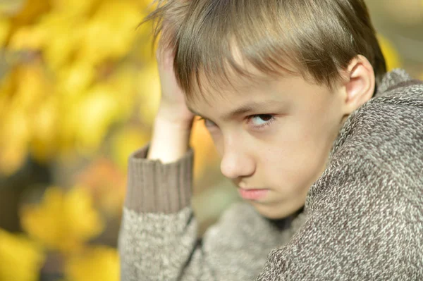 Little boy on walk — Stock Photo, Image