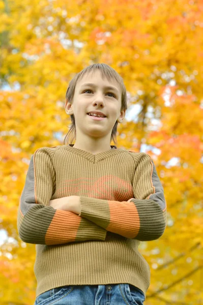 Niño en un paseo durante el otoño —  Fotos de Stock