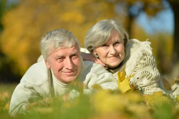 Elderly attractive woman — Stock Photo, Image