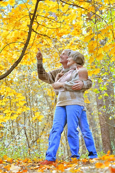 Couple aimant sur un fond — Photo