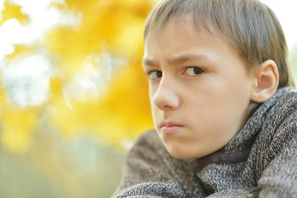 Young boy on walk — Stock Photo, Image