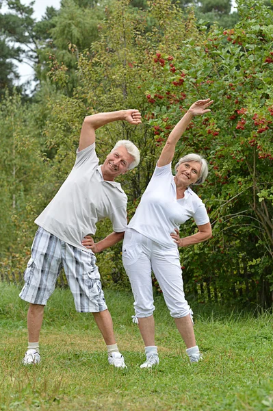 Bejaarde echtpaar op een wandeling — Stockfoto