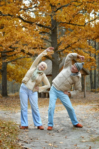 Friendly older couple — Stock Photo, Image