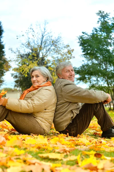 Portrait of older couple — Stock Photo, Image
