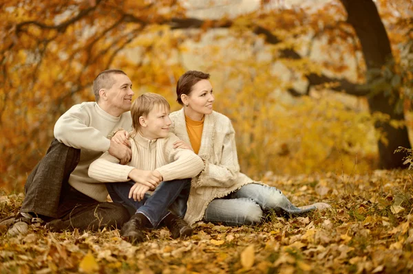 자연계에서 세 식구로 이루어진 행복 한 가족 — 스톡 사진