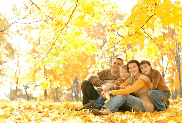 在公园中的四人家庭 — 图库照片
