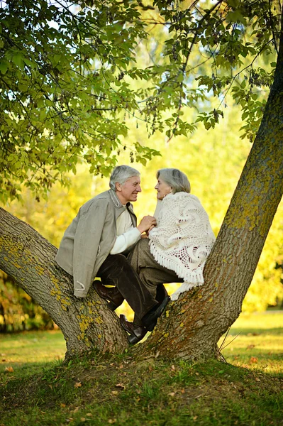 Liebenswertes älteres Paar ging in den Park — Stockfoto