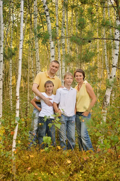 Happy family in the birch forest — Stock Photo, Image