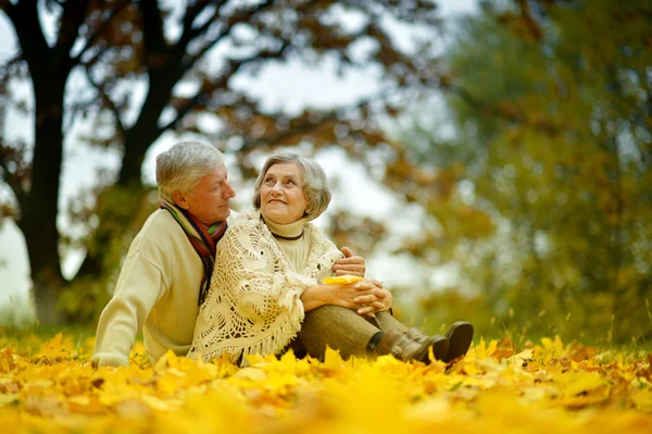 Älteres Ehepaar in der Natur — Stockfoto