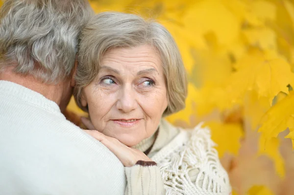 Elderly couple walking in the park — Stock Photo, Image