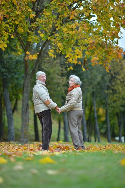 Портрет счастливой пожилой пары — стоковое фото