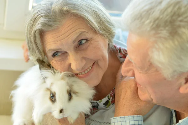Seniorenpaar mit weißem Kaninchen — Stockfoto