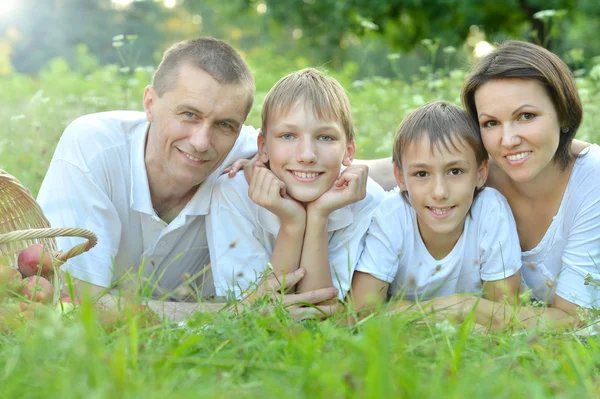 Familie auf Picknick — Stockfoto