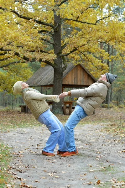 Parkta yaşlı bir çift — Stok fotoğraf