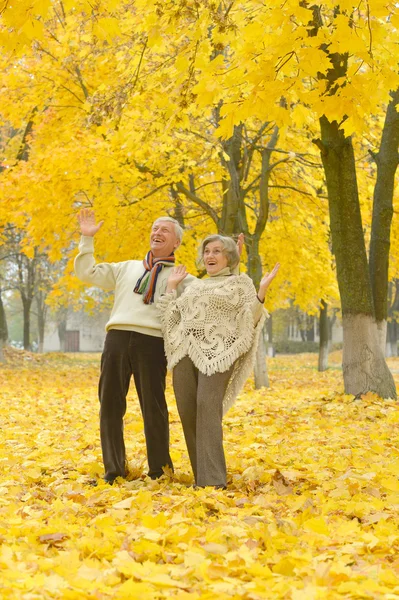 Seniorenpaar im Herbstpark — Stockfoto