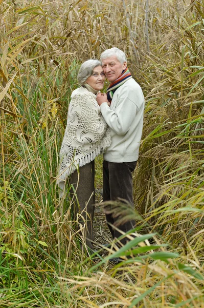 Счастливая старая пара — стоковое фото