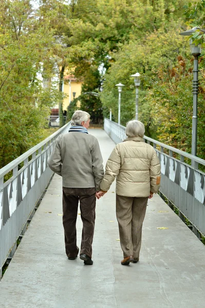 오래 된 커플 귀여운 초상화 — 스톡 사진