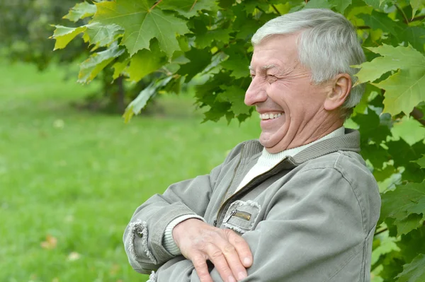 Elderly man on green background — Stock Photo, Image