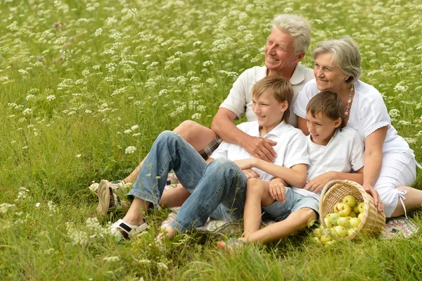 Mutlu bir aile piknik güneşli yaz gününde — Stok fotoğraf