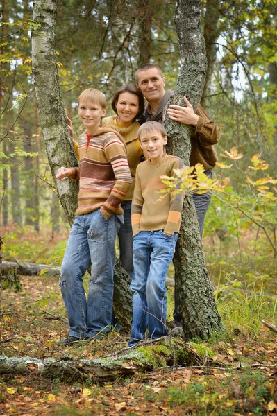 Vierköpfige Familie im Park — Stockfoto