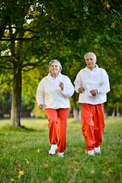 Sportive elderly couple — Stock Photo, Image