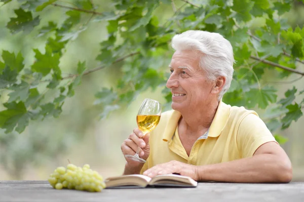 Oude man drinken van de wijn en het lezen van een boek — Stockfoto