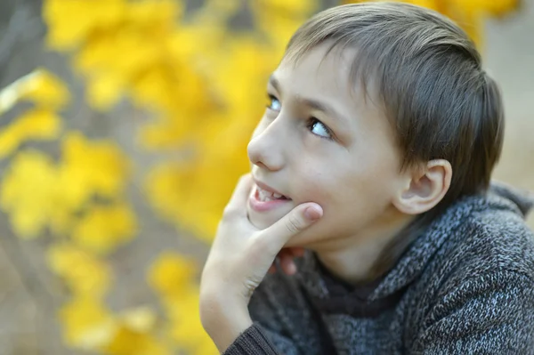 Šťastný chlapec relaxační podzim — Stock fotografie