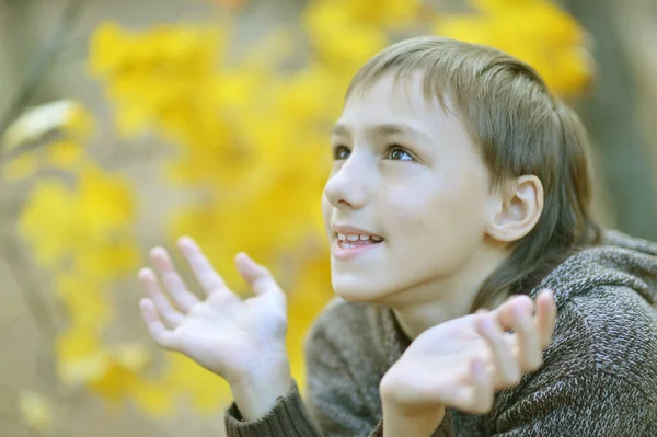 Ευτυχισμένο αγόρι χαλαρωτικό το φθινόπωρο — Φωτογραφία Αρχείου