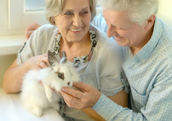 Coppia anziana con un coniglio — Foto Stock
