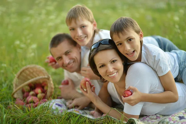 Familie op een picknick — Stockfoto