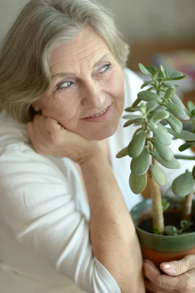 Femme âgée avec plante — Photo
