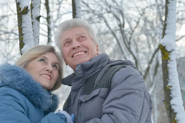 Senior koppel in de winter — Stockfoto