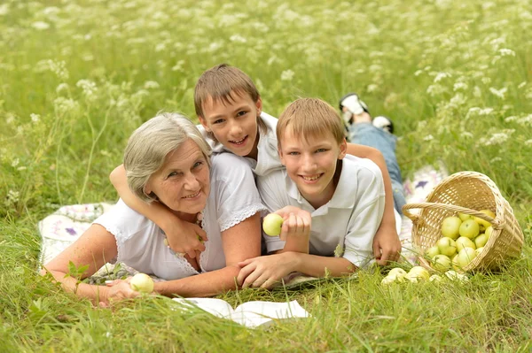 Família feliz fazendo um piquenique em um dia ensolarado de verão — Fotografia de Stock